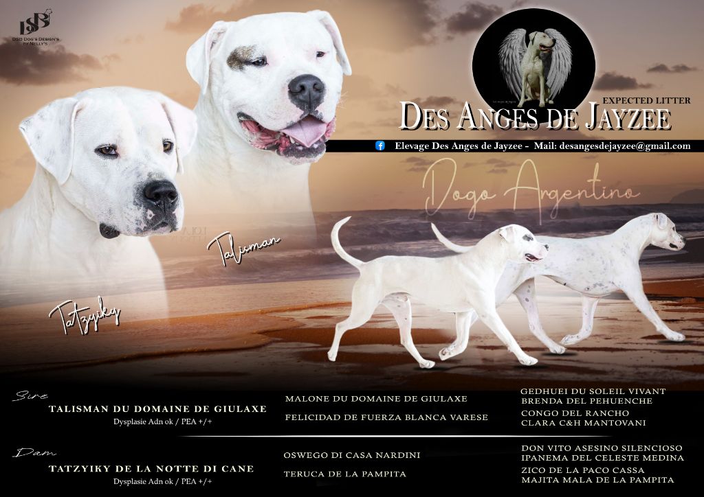 Talisman du Domaine de Giulaxe X Tatzyiky de la Notte di Cane